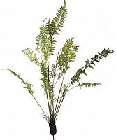 декор fern plant в Калининграде