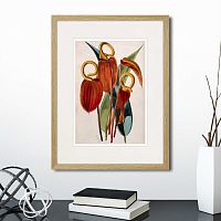 картина: exotic plants of the world №15, 1815г. в Калининграде