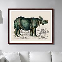 картина: rhinoceros, 1774г. в Калининграде