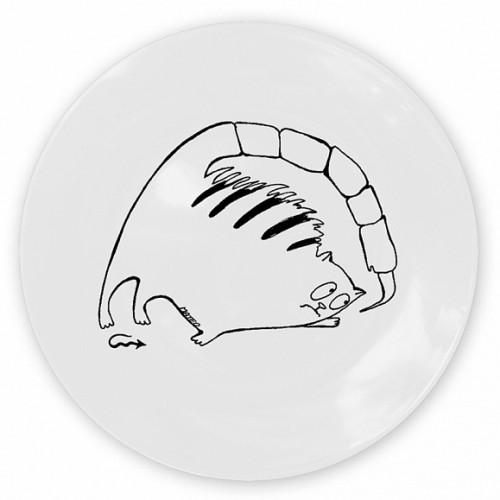 кот-скорпион в Калининграде