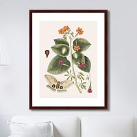 картина: beauty bloom №4, 1732г. в Калининграде