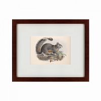 картина: the squirrel, 1879 в Калининграде