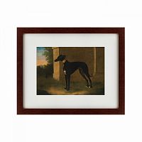 картина: portrait of a greyhound called pompon, 1746 в Калининграде
