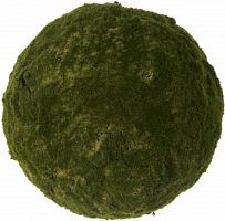 декор moss sun в Калининграде