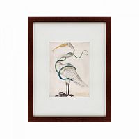 картина: heron encircled by a snake, 1700 в Калининграде