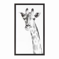 постер giraffe черный в Калининграде