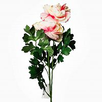 пион розовый 62 см (12) в Калининграде