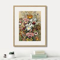 картина: art forms of nature №6, 1897г. в Калининграде