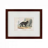картина: a caracal or lynx, 1830 в Калининграде