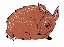 ковер шерстяной олененок the deer в Калининграде