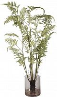 декор fern в Калининграде