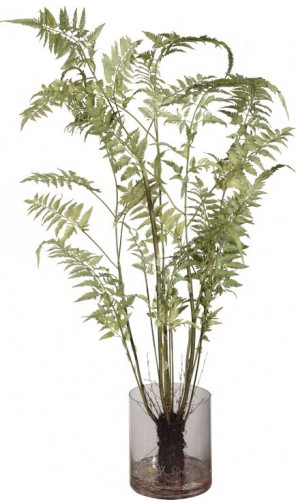 декор fern в Калининграде