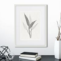 картина: the fern collection №6 в Калининграде