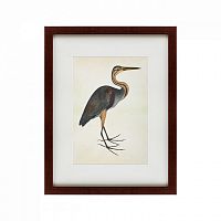 картина: heron (литография), 1822 в Калининграде